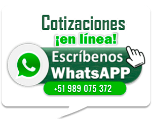 Consultas WhatsApp
